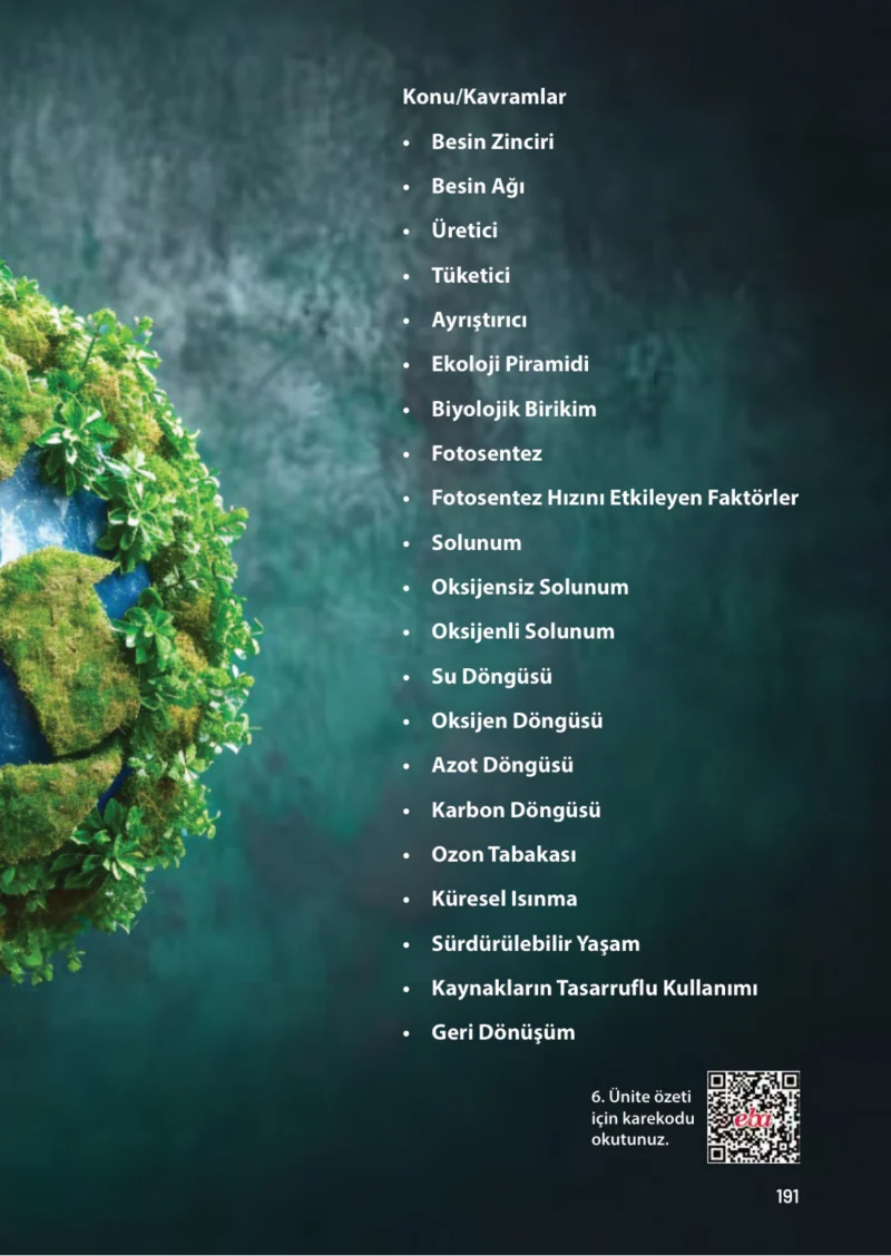 8. Sınıf Fen Bilimleri Ders Kitabı Cevapları Meb Yayınları Sayfa 191
