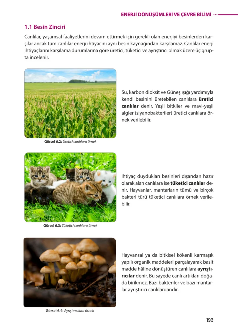 8. Sınıf Fen Bilimleri Ders Kitabı Cevapları Meb Yayınları Sayfa 193