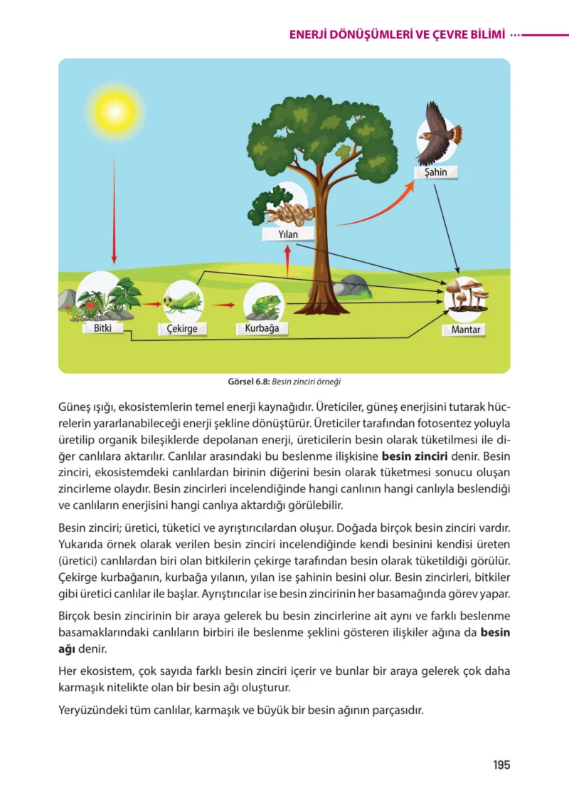 8. Sınıf Fen Bilimleri Ders Kitabı Cevapları Meb Yayınları Sayfa 195