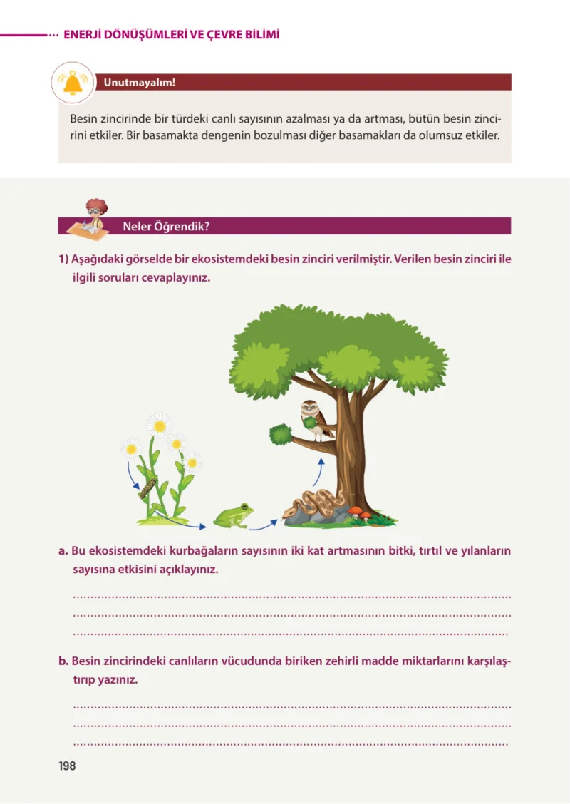 8. Sınıf Fen Bilimleri Ders Kitabı Cevapları Meb Yayınları Sayfa 198