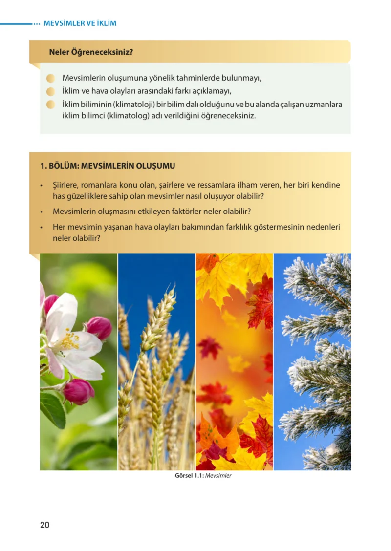 8. Sınıf Fen Bilimleri Ders Kitabı Cevapları Meb Yayınları Sayfa 20