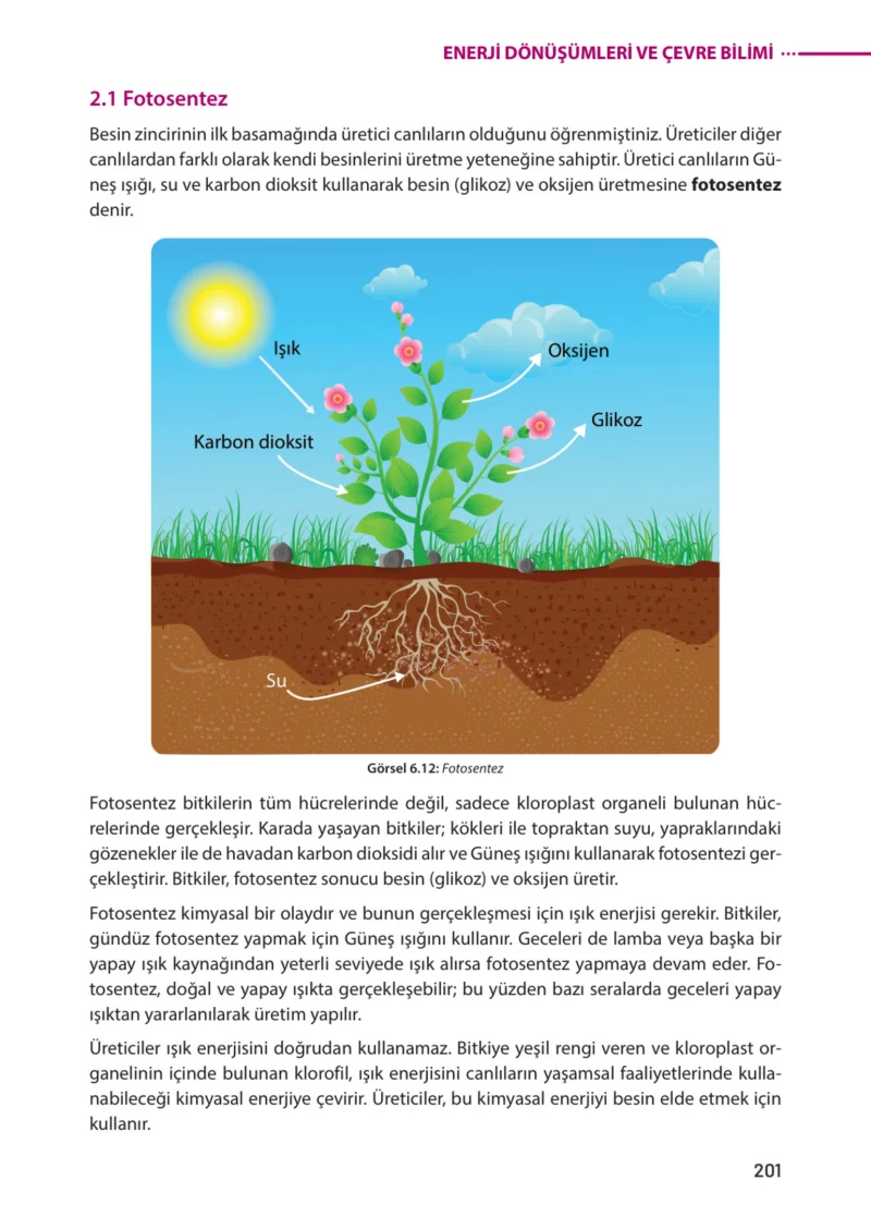 8. Sınıf Fen Bilimleri Ders Kitabı Cevapları Meb Yayınları Sayfa 201
