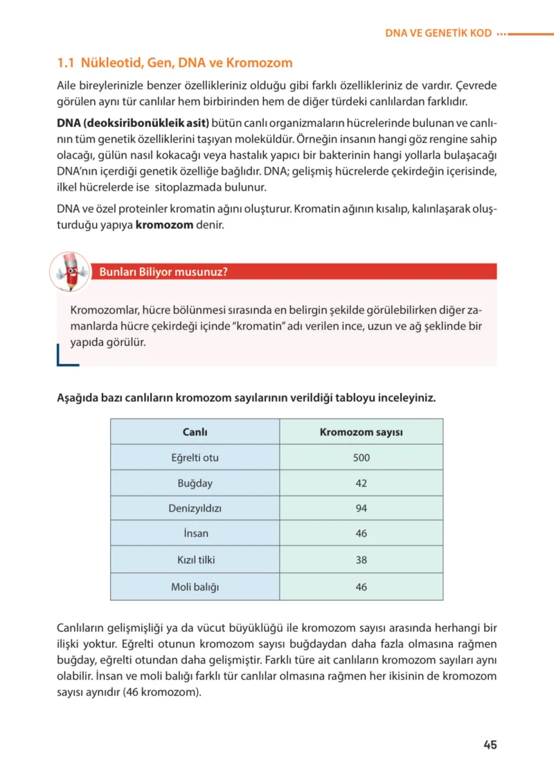 8. Sınıf Fen Bilimleri Ders Kitabı Cevapları Meb Yayınları Sayfa 45