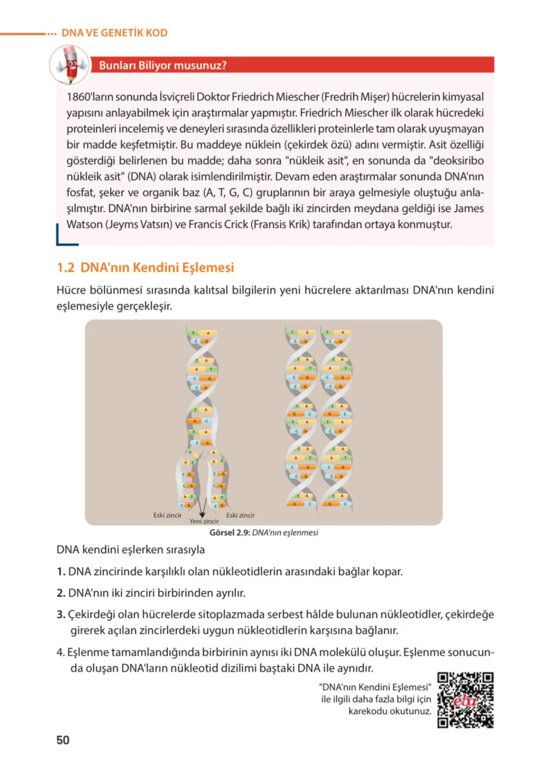8. Sınıf Fen Bilimleri Ders Kitabı Cevapları Meb Yayınları Sayfa 50
