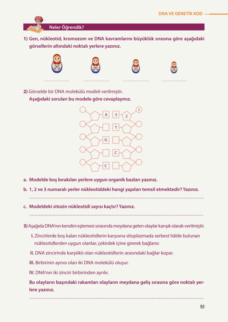 8. Sınıf Fen Bilimleri Ders Kitabı Cevapları Meb Yayınları Sayfa 51