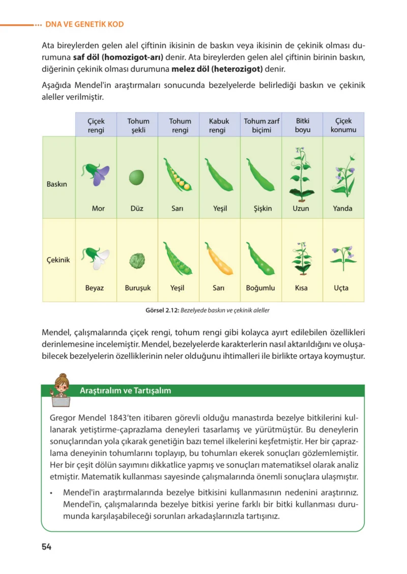 8. Sınıf Fen Bilimleri Ders Kitabı Cevapları Meb Yayınları Sayfa 54
