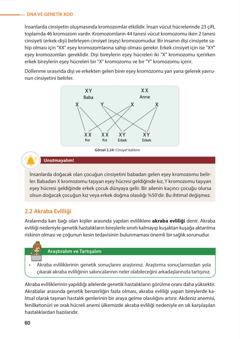 8. Sınıf Fen Bilimleri Ders Kitabı Cevapları Meb Yayınları Sayfa 60