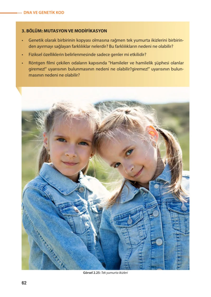 8. Sınıf Fen Bilimleri Ders Kitabı Cevapları Meb Yayınları Sayfa 62