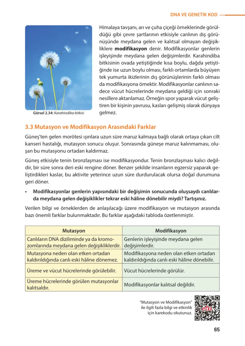 8. Sınıf Fen Bilimleri Ders Kitabı Cevapları Meb Yayınları Sayfa 65