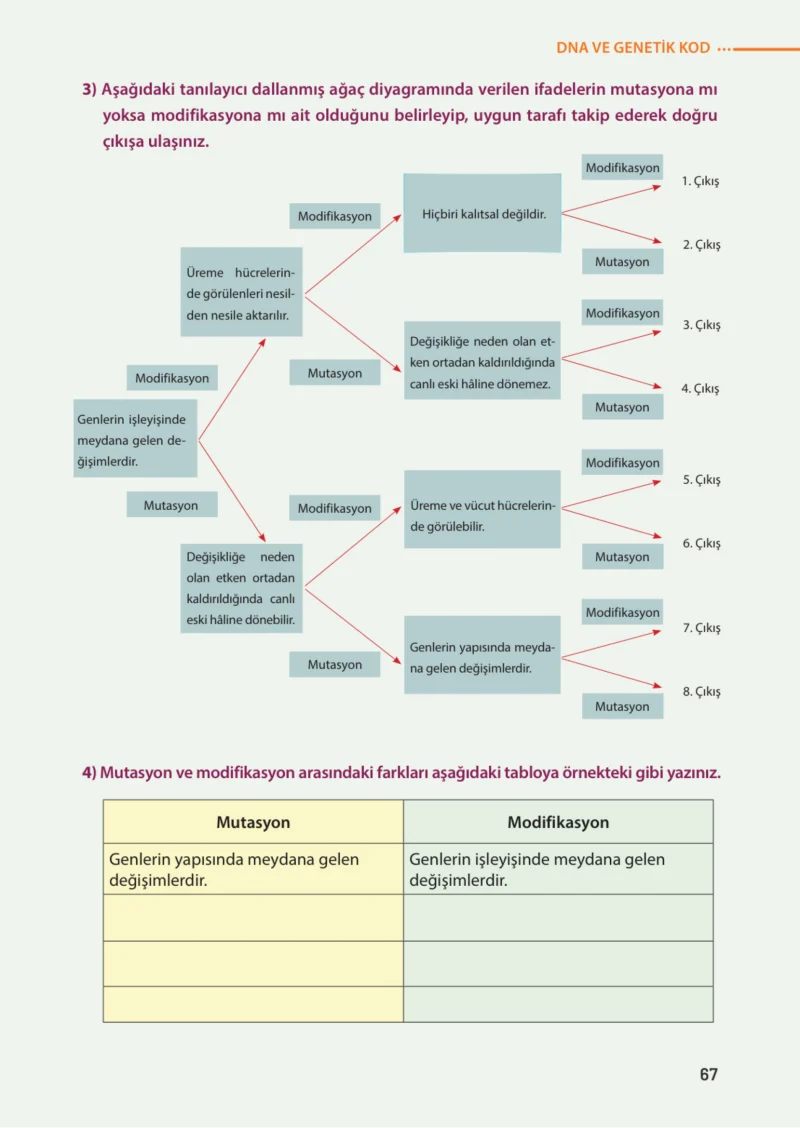 8. Sınıf Fen Bilimleri Ders Kitabı Cevapları Meb Yayınları Sayfa 67