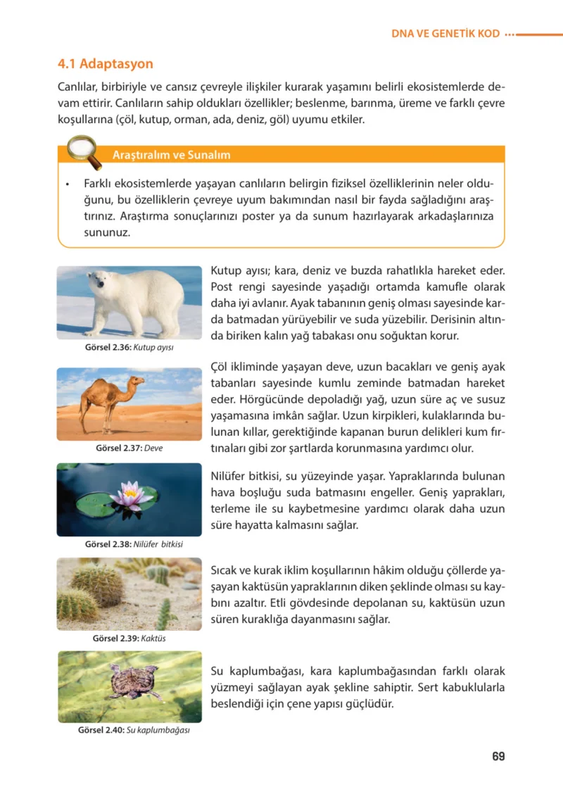 8. Sınıf Fen Bilimleri Ders Kitabı Cevapları Meb Yayınları Sayfa 69