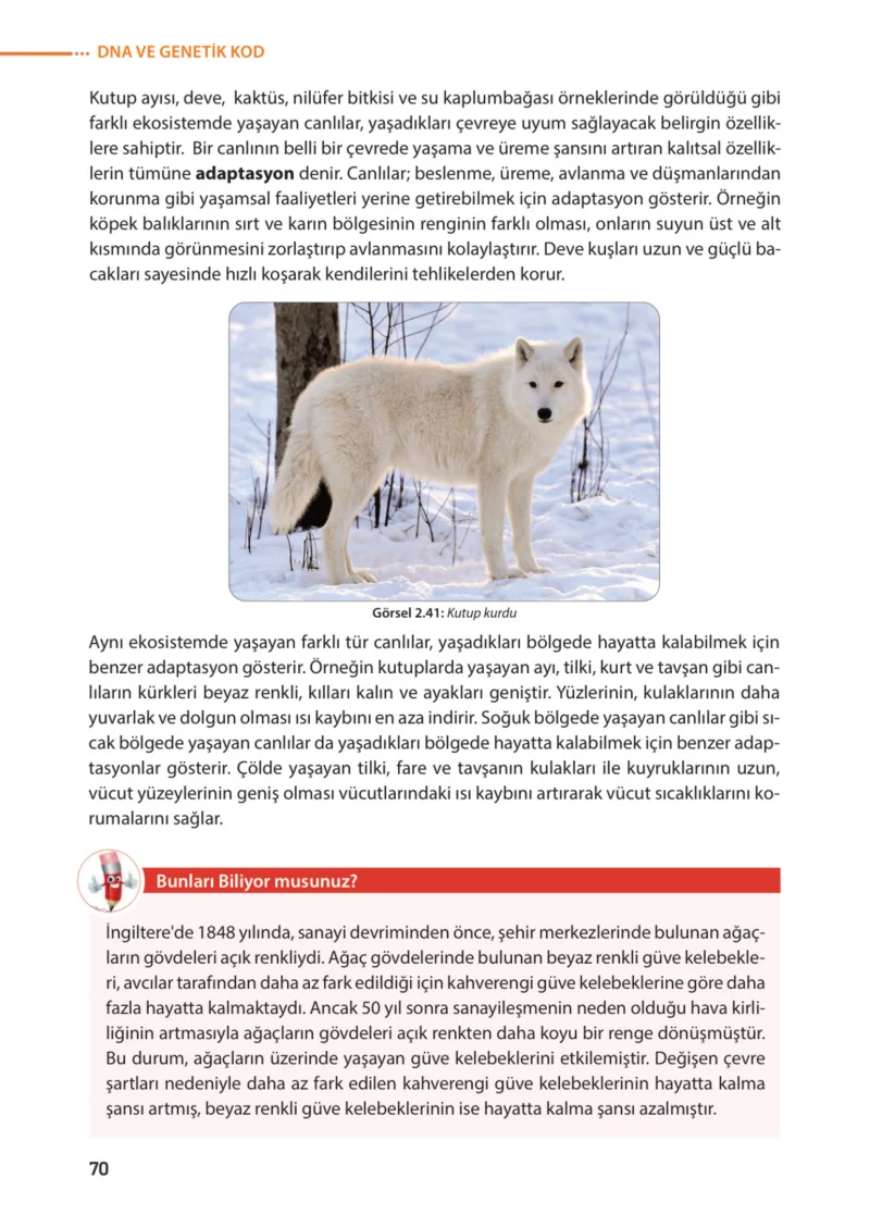8. Sınıf Fen Bilimleri Ders Kitabı Cevapları Meb Yayınları Sayfa 70