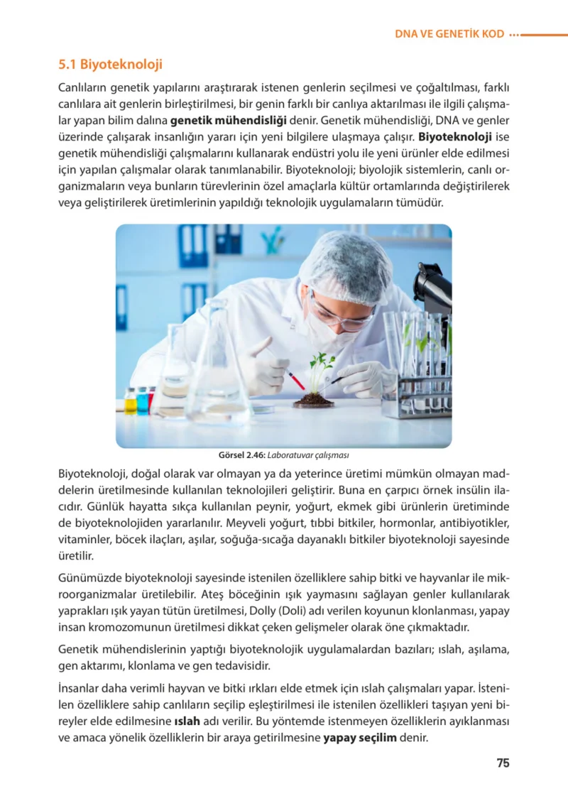 8. Sınıf Fen Bilimleri Ders Kitabı Cevapları Meb Yayınları Sayfa 75