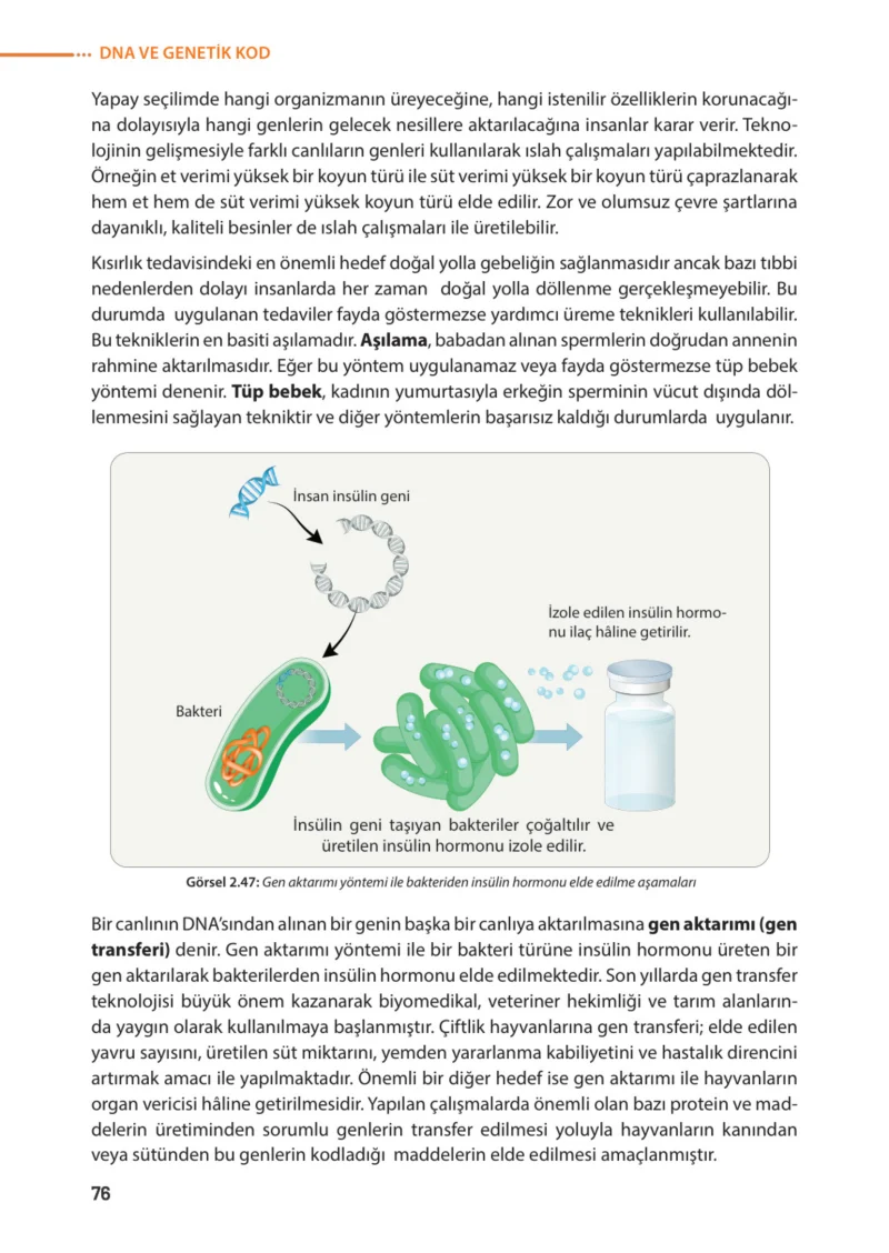 8. Sınıf Fen Bilimleri Ders Kitabı Cevapları Meb Yayınları Sayfa 76