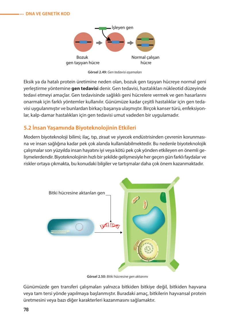 8. Sınıf Fen Bilimleri Ders Kitabı Cevapları Meb Yayınları Sayfa 78