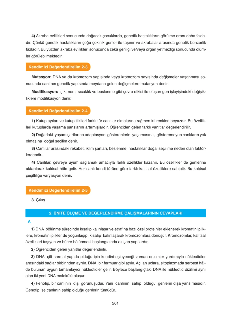 8. Sınıf Fen Bilimleri Ders Kitabı Cevapları SDR Dİkey Yayınları Sayfa 261