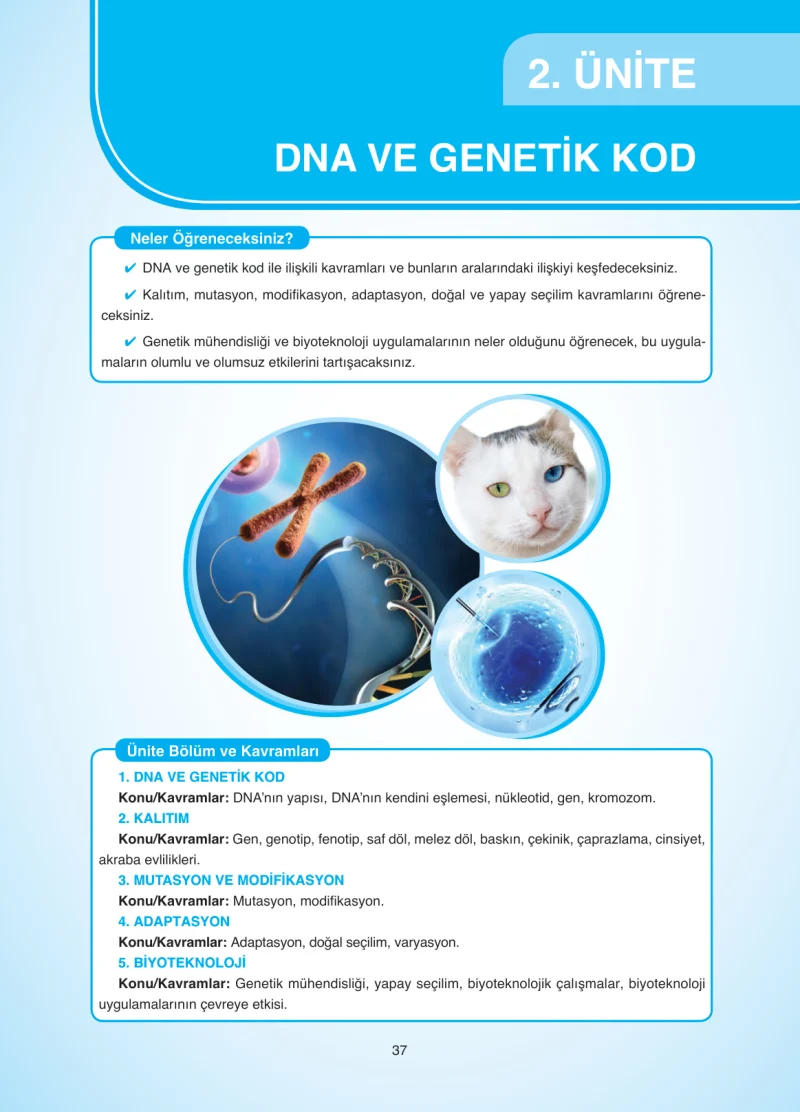 8. Sınıf Fen Bilimleri Ders Kitabı Cevapları SDR Dİkey Yayınları Sayfa 37