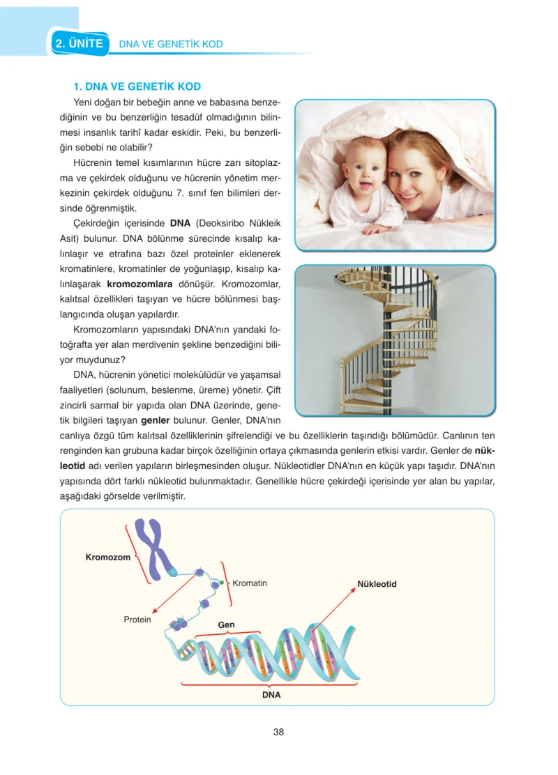 8. Sınıf Fen Bilimleri Ders Kitabı Cevapları SDR Dİkey Yayınları Sayfa 38