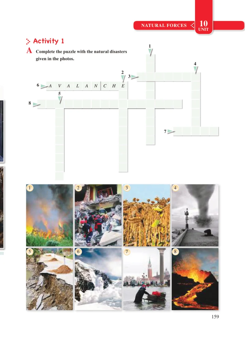 8. Sınıf İngilizce Ders Kitabı Cevapları Tutku Yayınları Sayfa 159