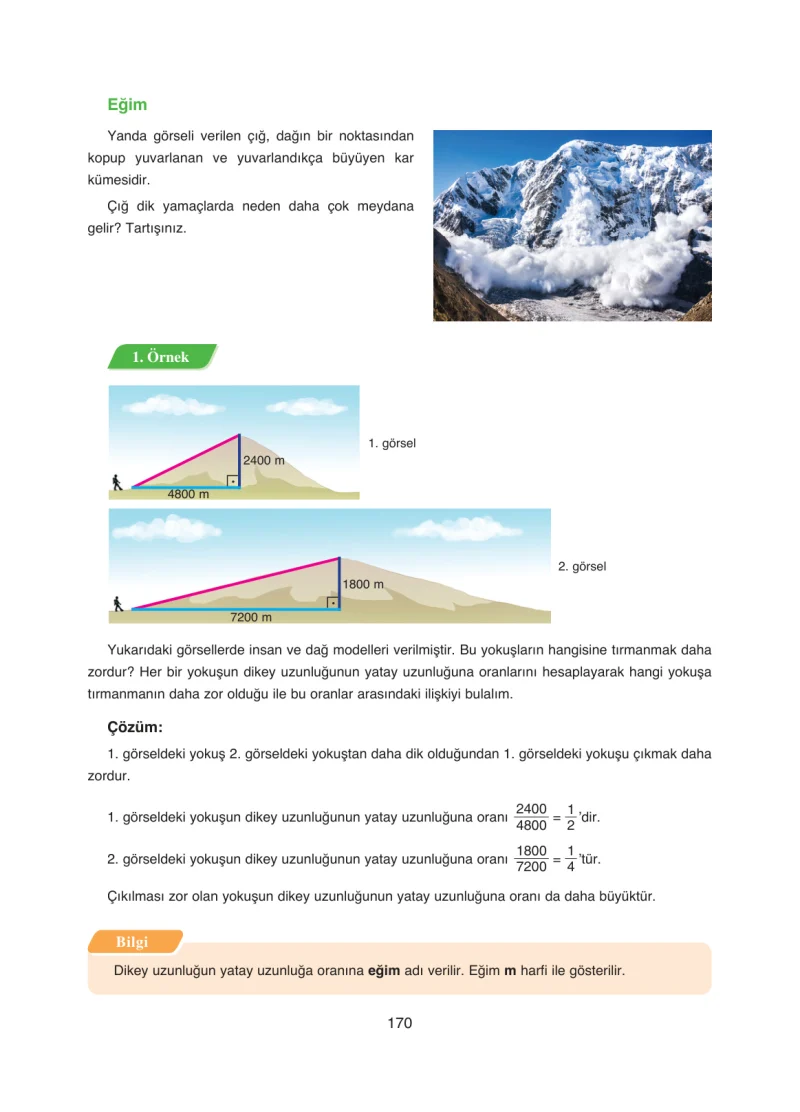8. Sınıf Matematik Ders Kitabı Cevapları Ada Yayınları Sayfa 170