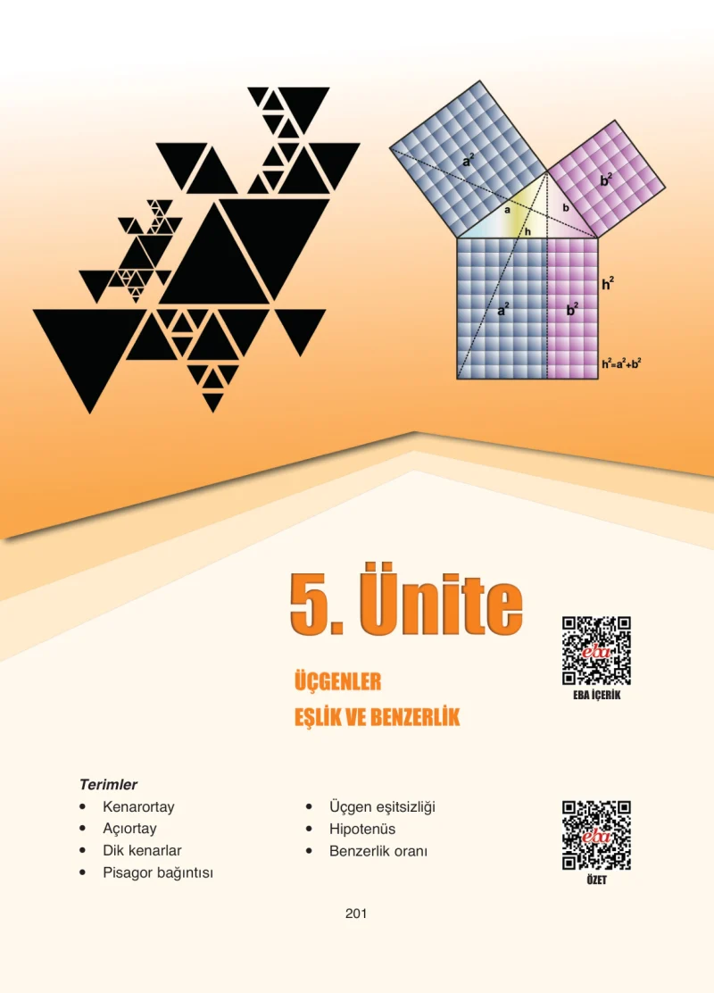 8. Sınıf Matematik Ders Kitabı Cevapları Ada Yayınları Sayfa 201
