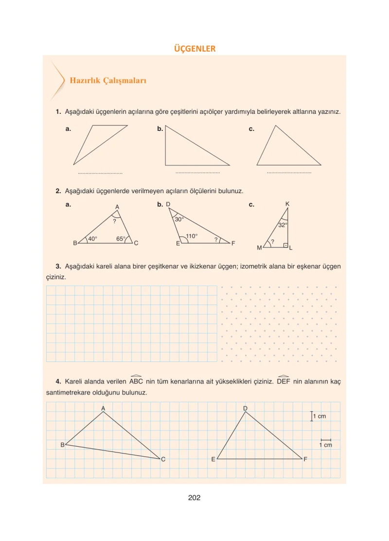 8. Sınıf Matematik Ders Kitabı Cevapları Ada Yayınları Sayfa 202