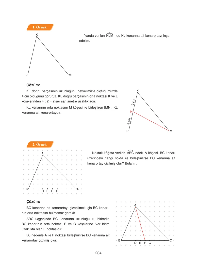8. Sınıf Matematik Ders Kitabı Cevapları Ada Yayınları Sayfa 204
