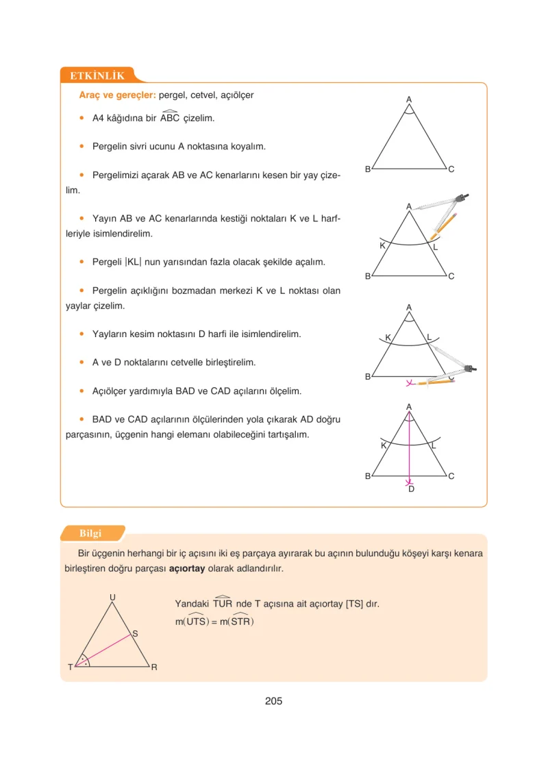 8. Sınıf Matematik Ders Kitabı Cevapları Ada Yayınları Sayfa 205