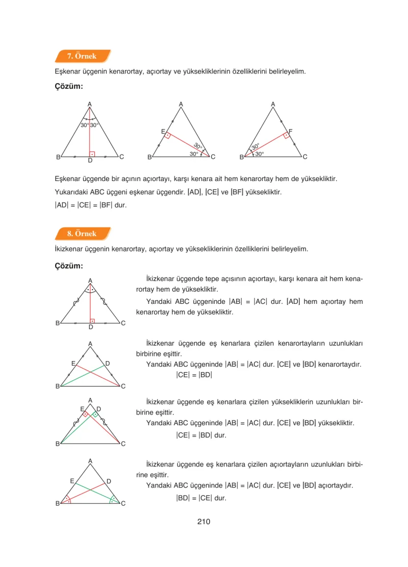 8. Sınıf Matematik Ders Kitabı Cevapları Ada Yayınları Sayfa 210