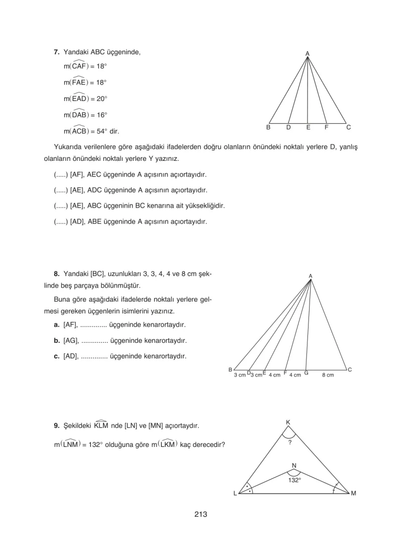 8. Sınıf Matematik Ders Kitabı Cevapları Ada Yayınları Sayfa 213