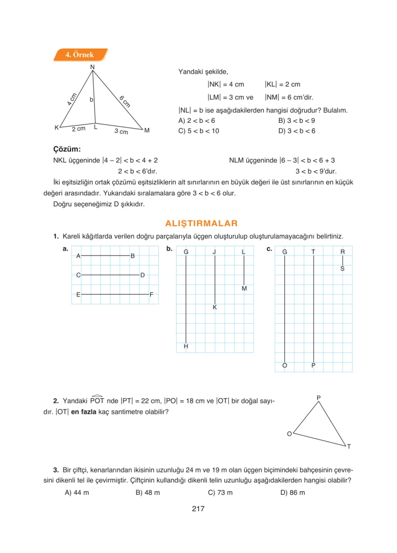 8. Sınıf Matematik Ders Kitabı Cevapları Ada Yayınları Sayfa 217