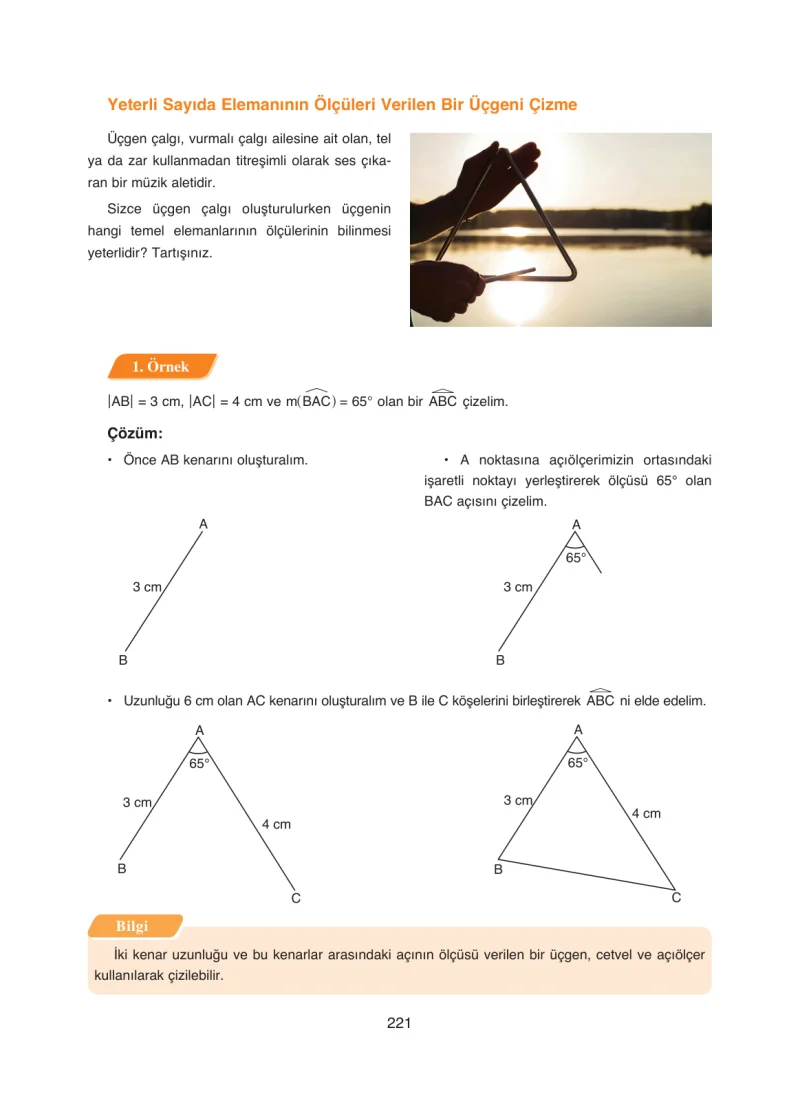 8. Sınıf Matematik Ders Kitabı Cevapları Ada Yayınları Sayfa 221