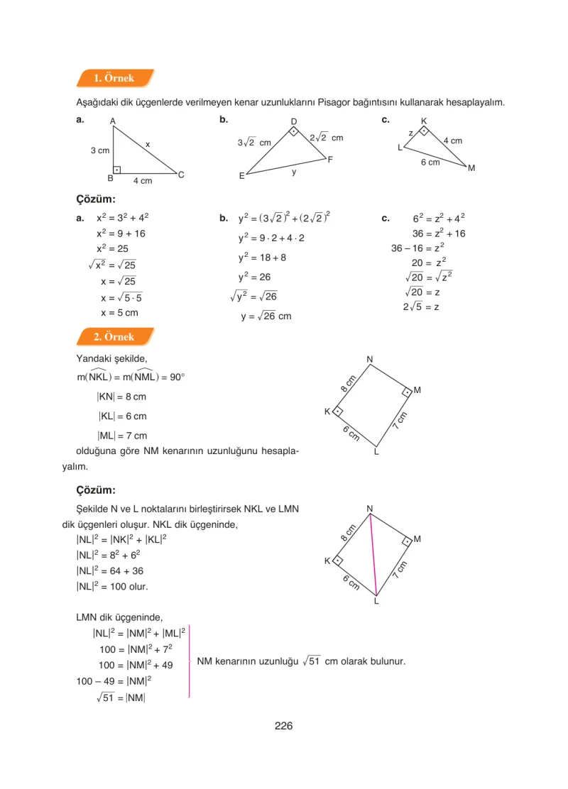 8. Sınıf Matematik Ders Kitabı Cevapları Ada Yayınları Sayfa 226