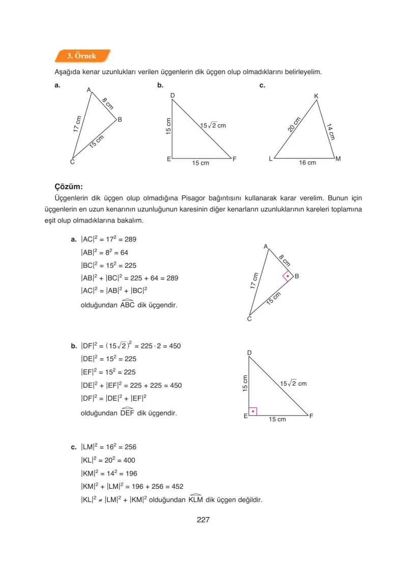 8. Sınıf Matematik Ders Kitabı Cevapları Ada Yayınları Sayfa 227