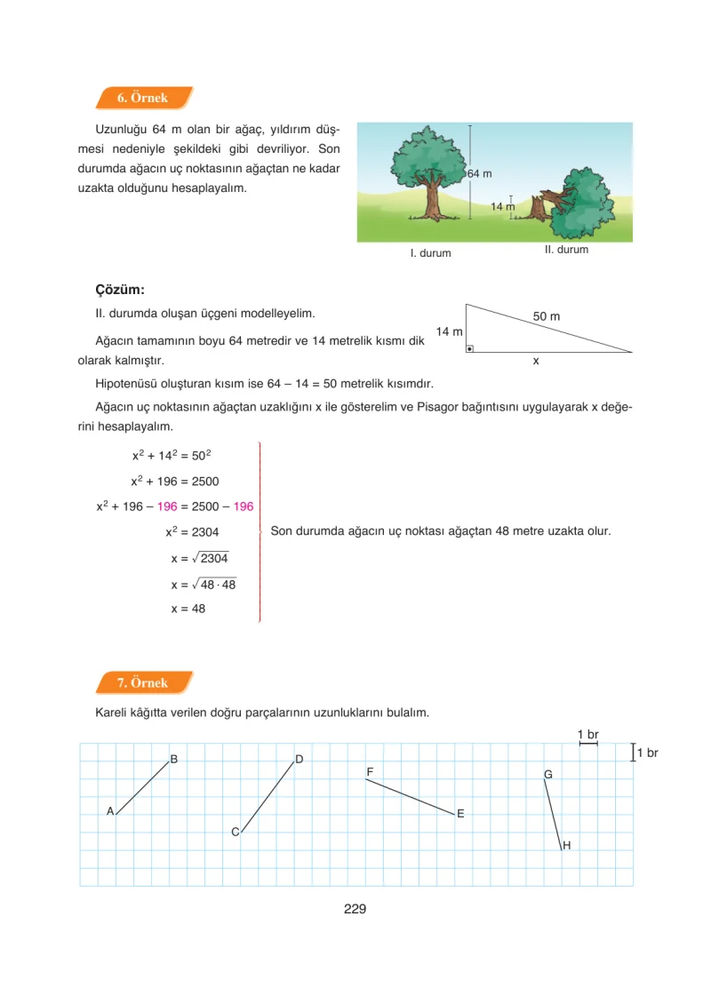 8. Sınıf Matematik Ders Kitabı Cevapları Ada Yayınları Sayfa 229