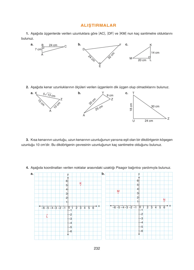 8. Sınıf Matematik Ders Kitabı Cevapları Ada Yayınları Sayfa 232