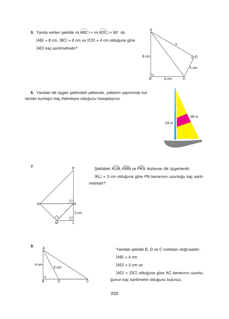 8. Sınıf Matematik Ders Kitabı Cevapları Ada Yayınları Sayfa 233