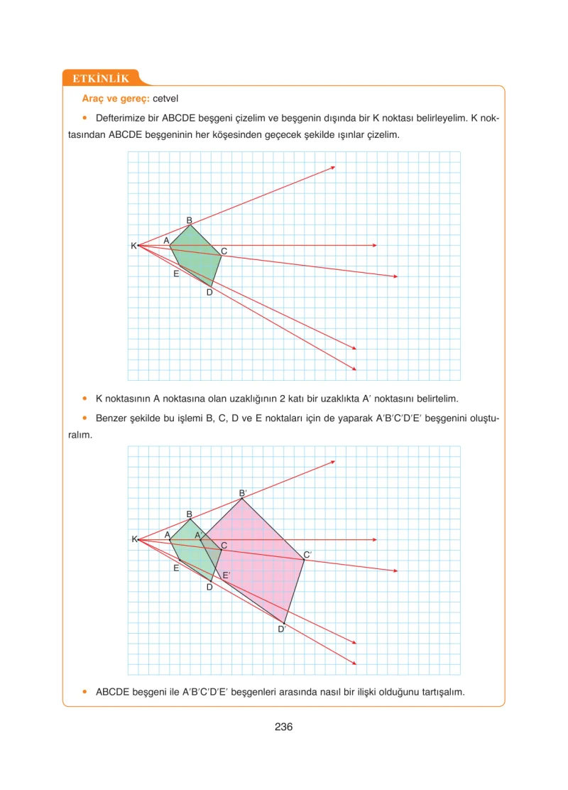 8. Sınıf Matematik Ders Kitabı Cevapları Ada Yayınları Sayfa 236