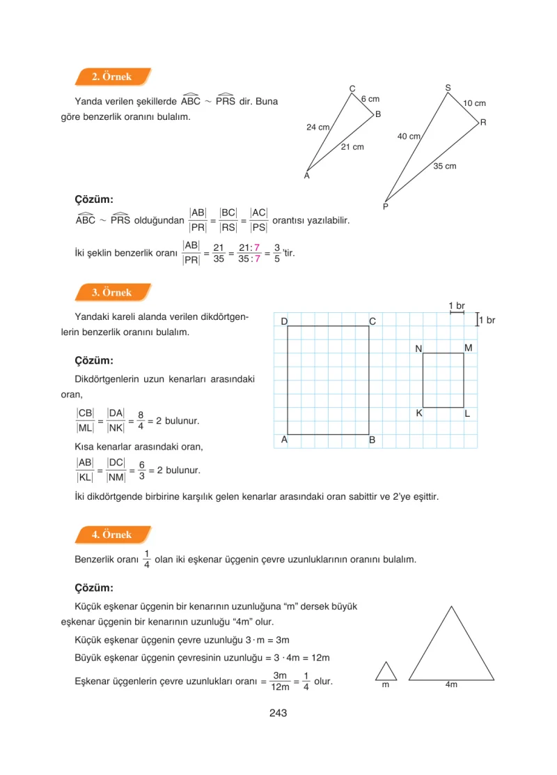 8. Sınıf Matematik Ders Kitabı Cevapları Ada Yayınları Sayfa 243