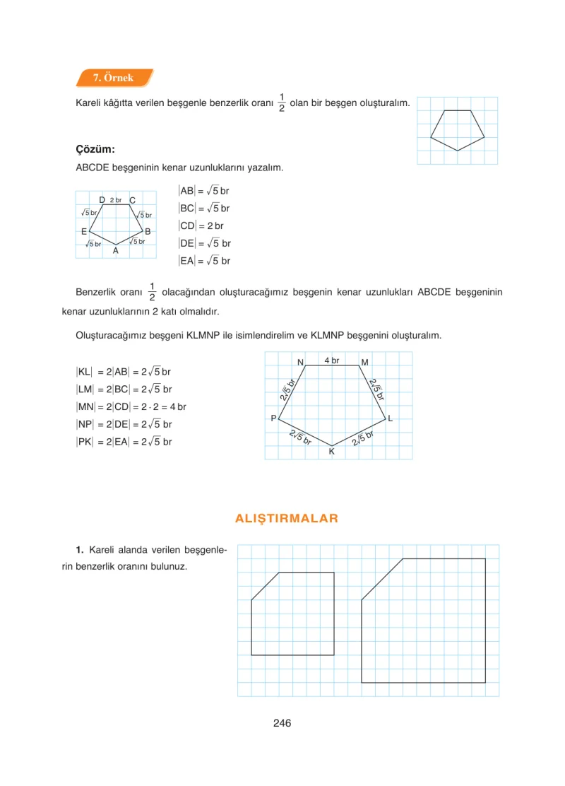 8. Sınıf Matematik Ders Kitabı Cevapları Ada Yayınları Sayfa 246