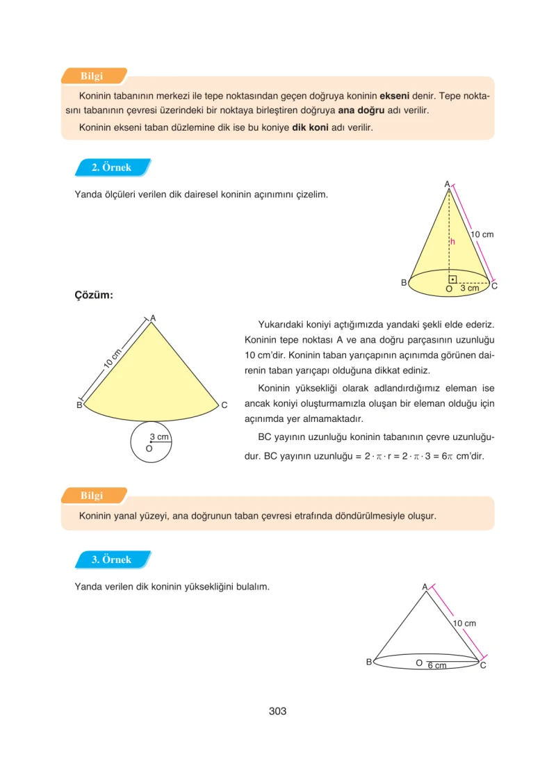 8. Sınıf Matematik Ders Kitabı Cevapları Ada Yayınları Sayfa 303