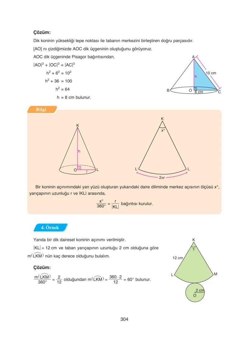 8. Sınıf Matematik Ders Kitabı Cevapları Ada Yayınları Sayfa 304