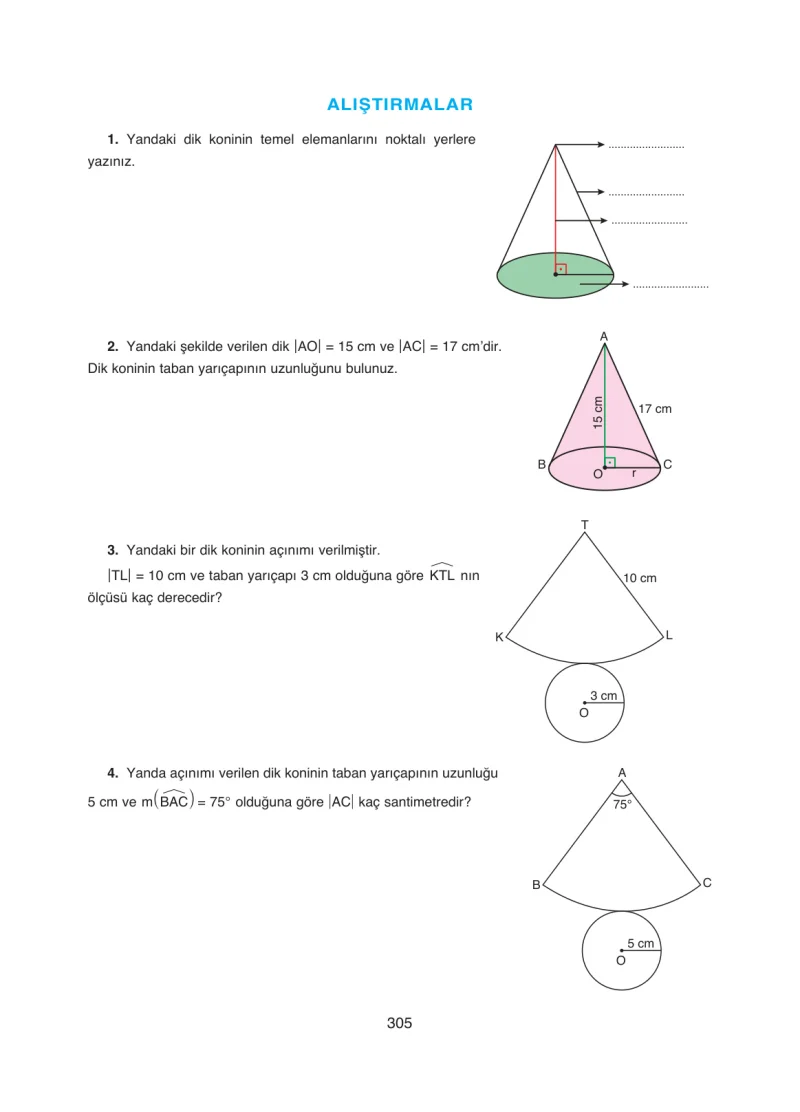 8. Sınıf Matematik Ders Kitabı Cevapları Ada Yayınları Sayfa 305