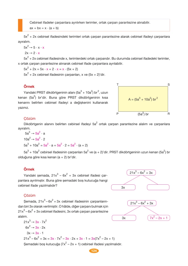 8. Sınıf Matematik Ders Kitabı Cevapları Berkay Yayınları Sayfa 124