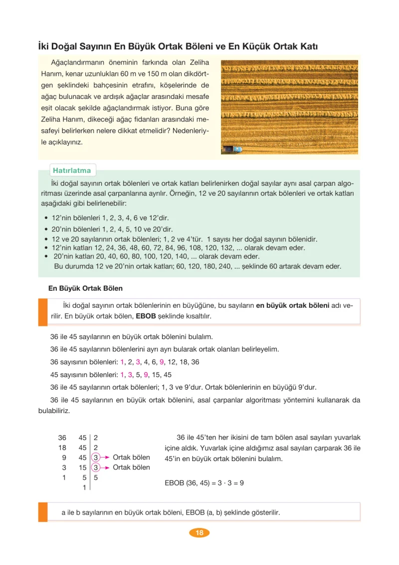8. Sınıf Matematik Ders Kitabı Cevapları Berkay Yayınları Sayfa 18