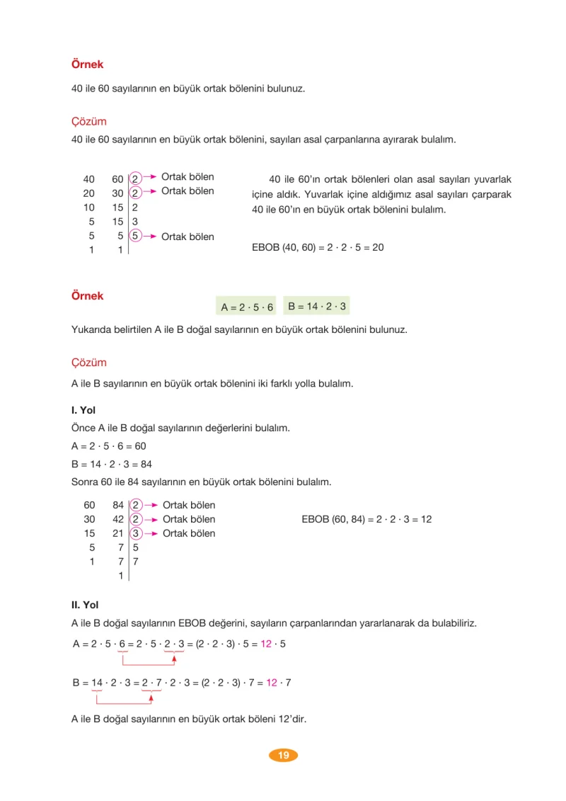 8. Sınıf Matematik Ders Kitabı Cevapları Berkay Yayınları Sayfa 19