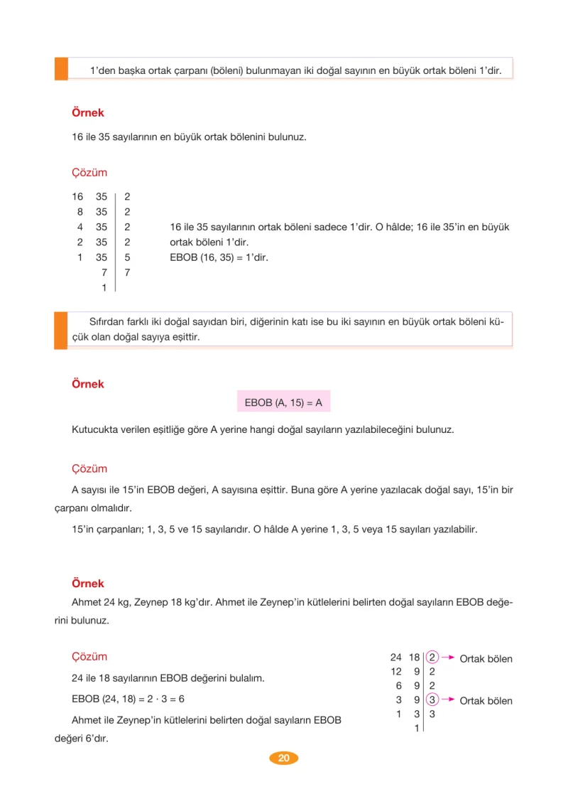 8. Sınıf Matematik Ders Kitabı Cevapları Berkay Yayınları Sayfa 20