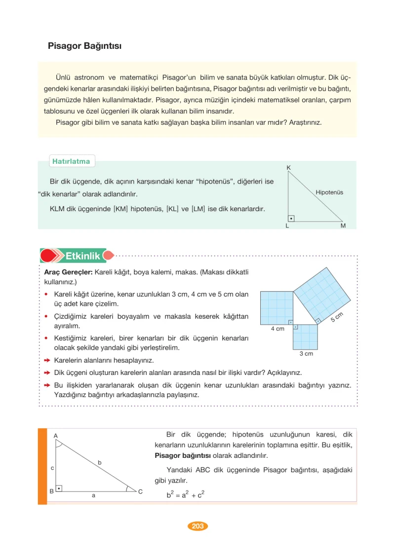 8. Sınıf Matematik Ders Kitabı Cevapları Berkay Yayınları Sayfa 203