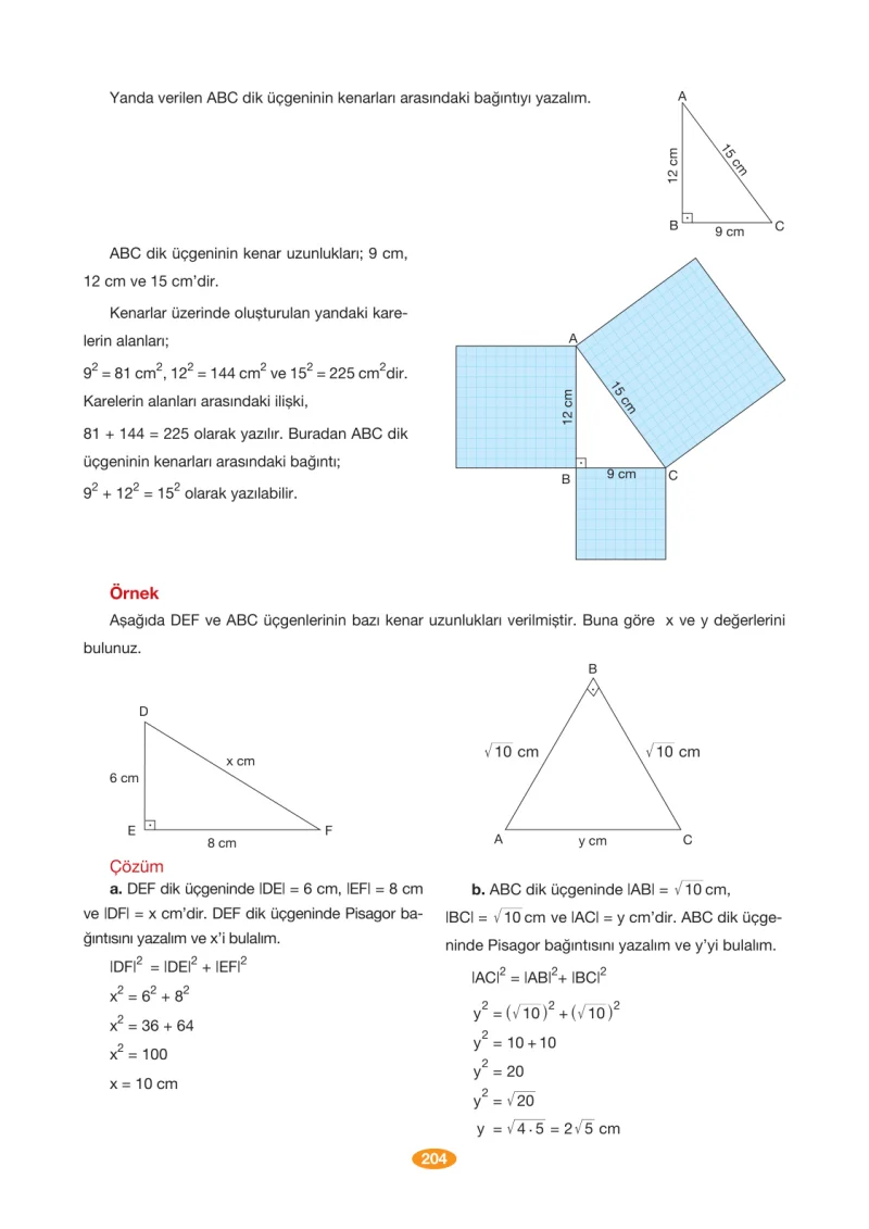 8. Sınıf Matematik Ders Kitabı Cevapları Berkay Yayınları Sayfa 204