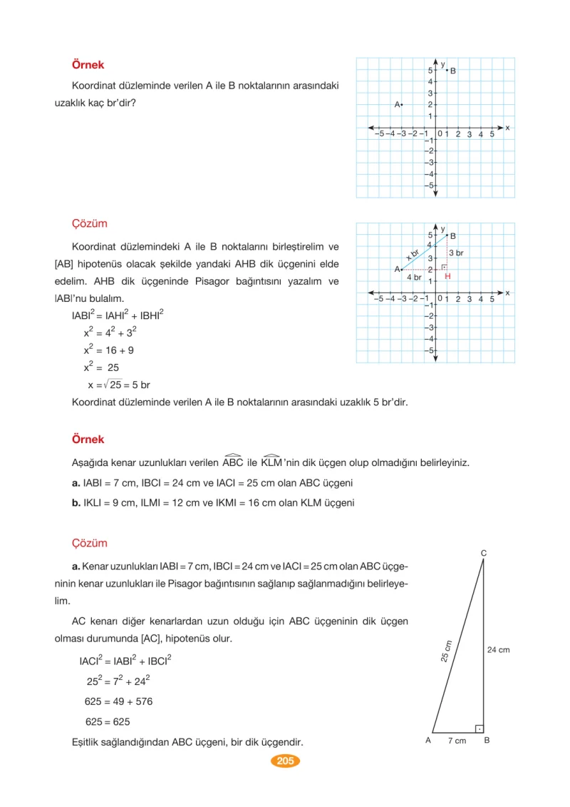 8. Sınıf Matematik Ders Kitabı Cevapları Berkay Yayınları Sayfa 205